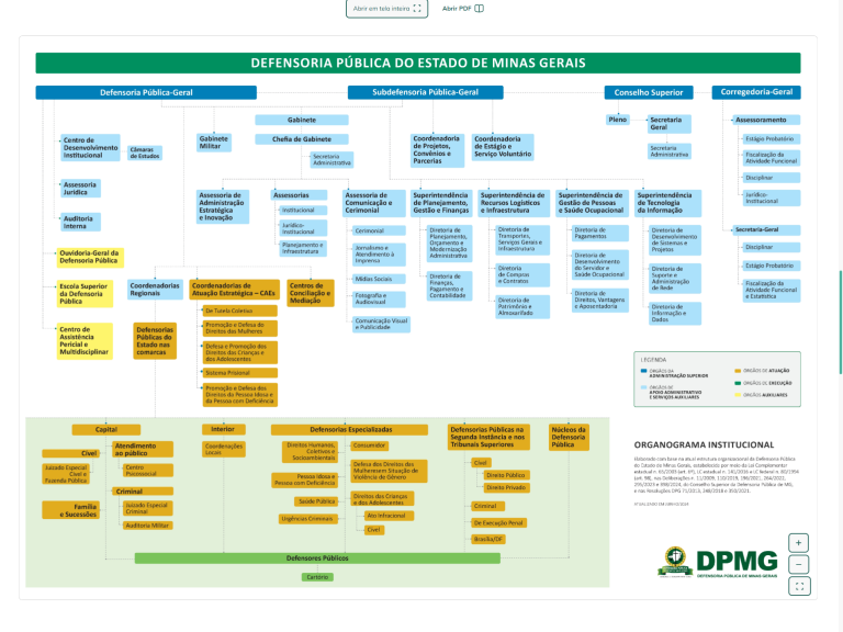 dpmg – organograma